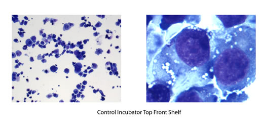 Control_Incubator_Top_Front_Shelf