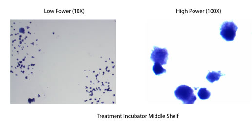 Treatment_Incubator_Middle_Shelf
